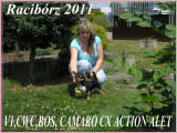 Camaro CX Action Alet - NV Raciborz (PL)
